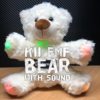 Ghost Hunting Trigger Bear (EMF) Eddy