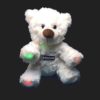 Ghost Hunting Bear (EMF) Izzy