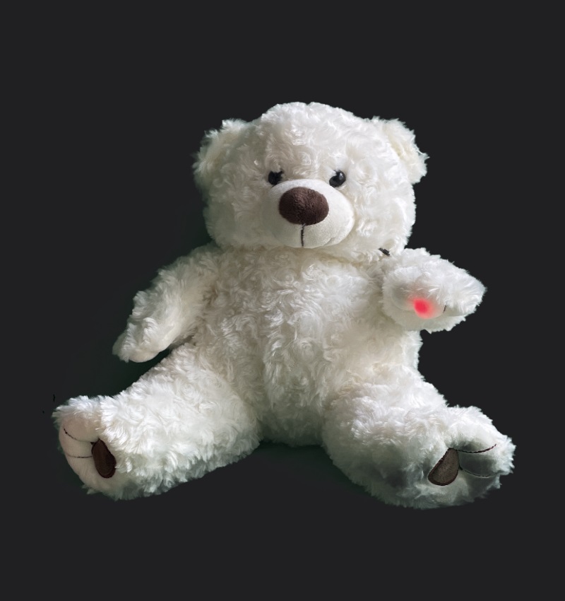 ghost hunting bear static